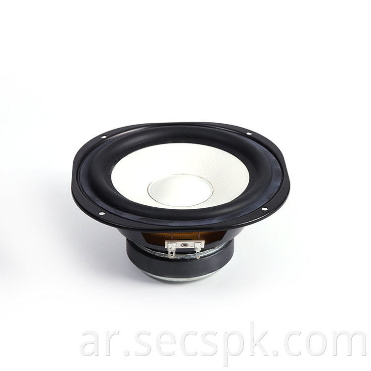 8ohm Injection Cone Speaker